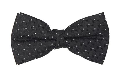 Calpe Patterned Bow Tie