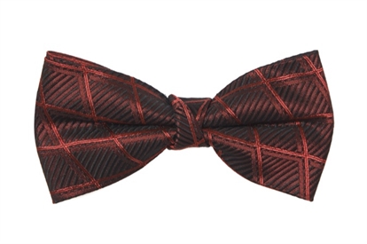Firenze Patterned Bow Tie