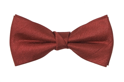 Valencia Burgundy Bow Tie