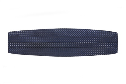 Bologna Patterned cummerbund