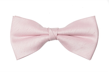 Creswell Bow Tie