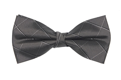 Veneto Patterned Bow Tie