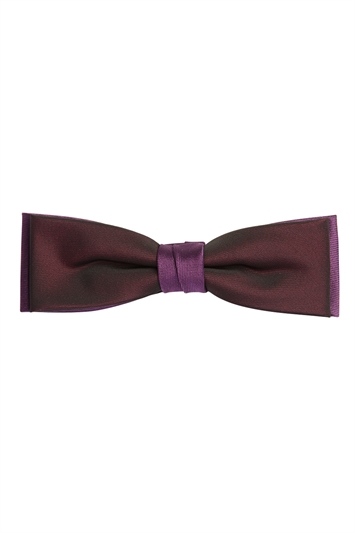 Purple Skinny Two Tone  Bow Tie