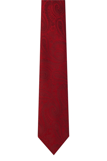 Moss 1851 Burgundy Paisley Tie